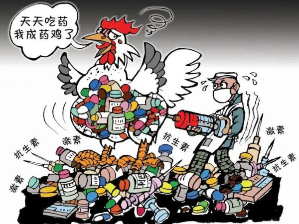 这本书告诉我们:一代代抗生素问世后,虽然在医疗中发挥了奇迹般的作用,但也迅速成为现代农业的助推剂。农业生产中的抗生素滥用酿成了严重的医疗危机,而这场危机就潜藏在我们的餐桌上,尤其是在工业化养殖的鸡肉里。当鸡肉成为餐桌上的必需品,对于这场餐桌上的危机,我们能做些什么呢?
