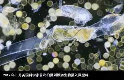 垃圾堵在地球心脏，想要彻底清理，恐怕是场“持久战”