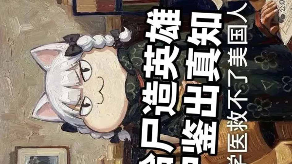 是的。美国社会的种种病灶——医疗债务、住房危机、中产塌陷、底层固化——已经存在了几十年，而且在加剧。但为什么没有爆发大规模的、系统性的"反对"运动？为什么没有出现根本性的制度变革？