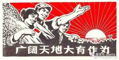 知青的榜样和骄傲——张革