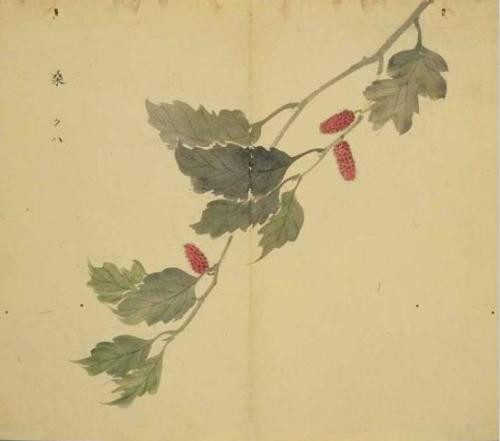 《资本论》艺术高度在于社会客观批判,即“现实的历史”批判,从中提炼生产关系发展之规定,而并不像孙正聿教授说的那样是“现实的历史”建构。因而在工作形态上,《资本论》所显露的不是存在论语境中的内涵逻辑,而是实践化的历史批判。