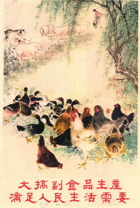 “公社”为何物？：英国记者1960年走访中国15个人民公社