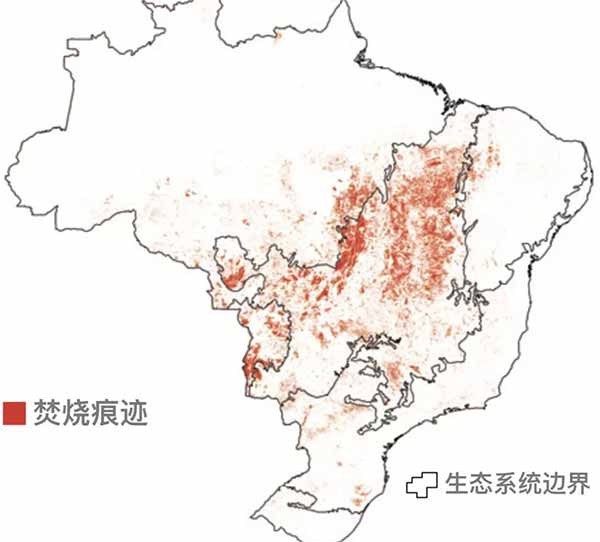 亚马逊之火，因何燃起，谁在加油？