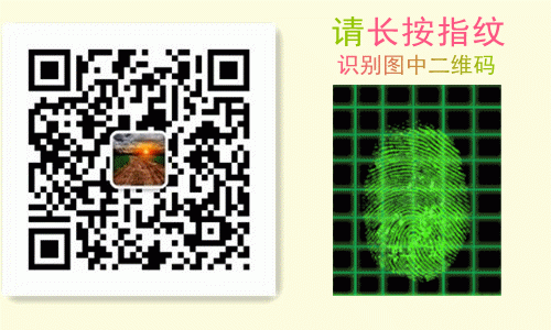 文清：在主席像前忏悔吧，造谣惑众的精英们