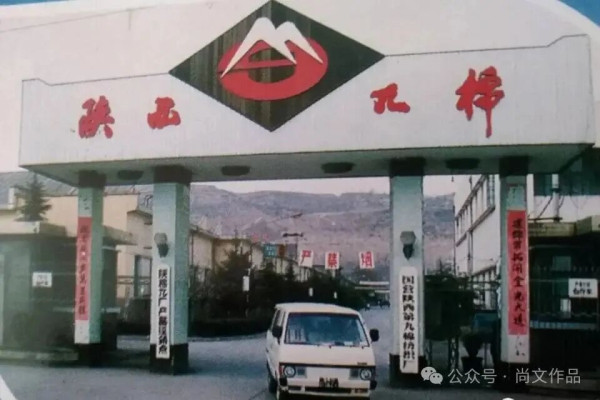 一九九四年的蔡家坡
