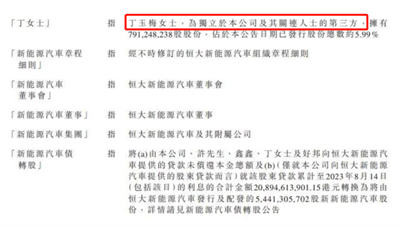 曾几何时,一世英名的皮带哥,何等风光;叱咤风云如碧桂园,竟至慈善避债的地步,不可一世的融创、万达等危机四伏。老许曾深情对其妻丁玉梅说,我欠你太多。但危机袭来,他第一反应就是离婚切割保全之,然后将包袱全甩给社会。
