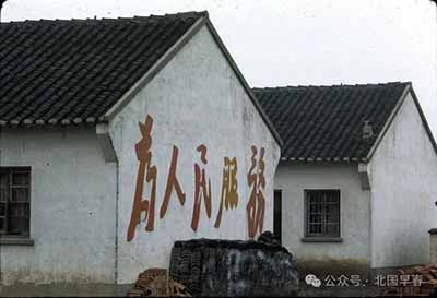 社会主义的教育不应当局限于学校围墙之内，应以劳动人民知识化和知识分子劳动化为目标，将教育扩展到全社会。应以劳动人民为根基，将人类文明几千年积累起来的知识平等地、无偿地传递给每一个需要知识的劳动者，彻底摧毁剥削阶级垄断知识、愚弄民众、制造不平等的根基。