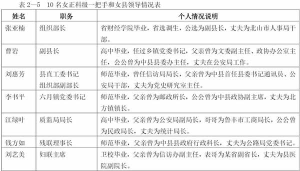 北大博士论文：中县干部升迁调查报告