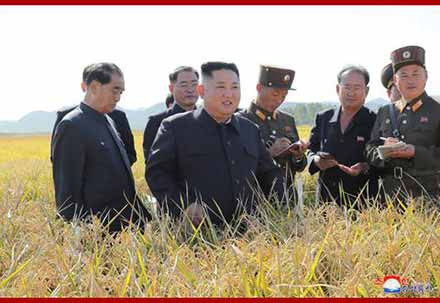 金正恩视察部队农场：解决吃饭问题要有决定性转变