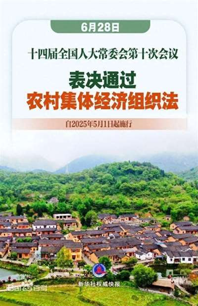 对新通过的《农村集体经济组织法》的简单梳理及要点归纳