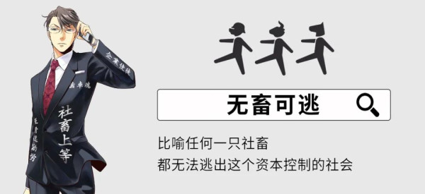 2020，内卷之年