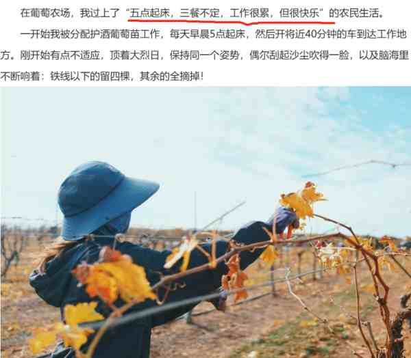 黑中介又开始骗“奴工”了