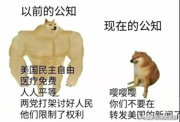 极不平凡的2020年，至此，终于走到了尽头。这样一年，给全世界人们，带来的最主要启发，是什么呢?我们认为：只有社会主义，才能救世界!!具体说：只有马列毛的真社会主义，才能救世界，才能救人类。舍此别无他路，另外任何一条路都是死路