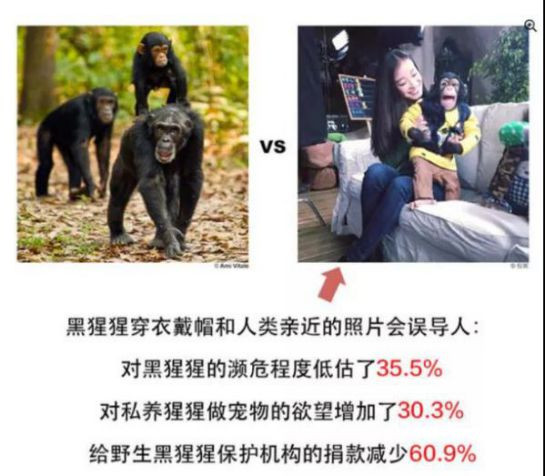 在垄断资本主义时代，动物园中的动物相较之前，被纳入了更长的产业链条，再生产着更加复杂的生产关系与意识形态；主题公园、长途旅行、大众传媒都让动物园中的动物更深层次地嵌入人类社会的结构中。