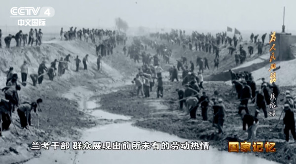 迎难而上战“三害”,挺拔的泡桐是他留给兰考最珍贵的政绩