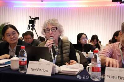 澎湃·文化课丨戴锦华与文化研究三十年