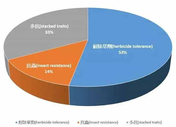 生物技术推广协会最新报告:基改作物继续蔓延,反转道路任重道远