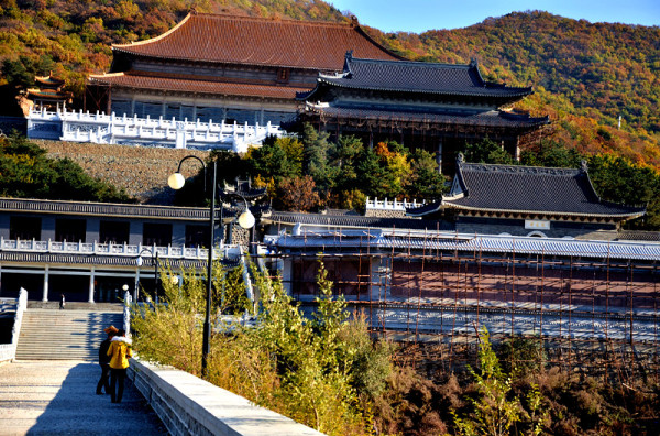 辽宁王忠新：大悲寺，你到底心虚什么?