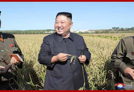 金正恩视察部队农场：解决吃饭问题要有决定性转变