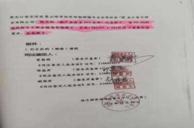 宾县大豆基地的资产疑云与假种子乱象，是一面照见乡村振兴现实困境的镜子。一粒种子的重量，关乎国运民生;一次维权的艰难，考验法治成色。