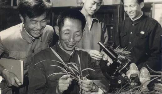 在集体时代，农作物育种则成为群众运动，实现了社会主义大协作。这一时期的群众性、合作性育种是怎样进行的，体现了怎样的科学观，取得了哪些成就，对今天的育种创新有哪些启发？