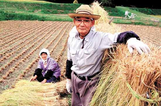 当我们自嘲打工人的时候，日本遍地都是七八十岁的资深打工人