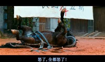 鹅城百姓的愤怒更不常有,所以不要白白浪费了。