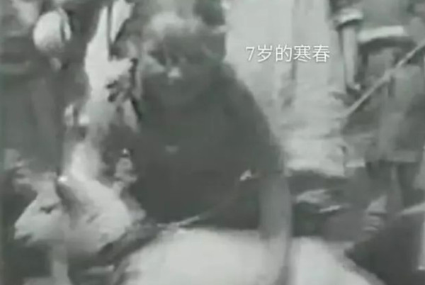 她用自己一生的经历告诉当代的青年：不必沉沦、不必痛苦，更不要苟且于眼前的苟且!一个没有人剥削人，没有人压迫人，一个可以把个人的爱好和人民的需要融为一体的“理想国”是真实存在过的，在不远的将来也是完全可能再现的，“她”值得每一个有志青年去为之斗争、为之努力。