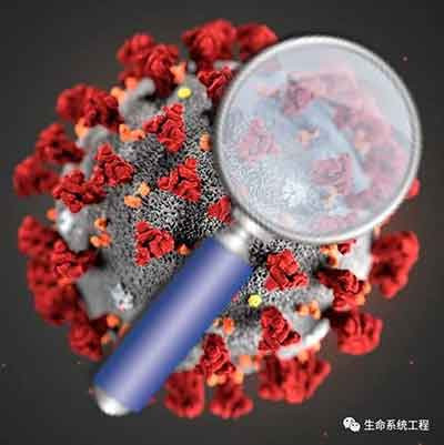 “基因治疗之父”披露新冠病毒源头之系统研究