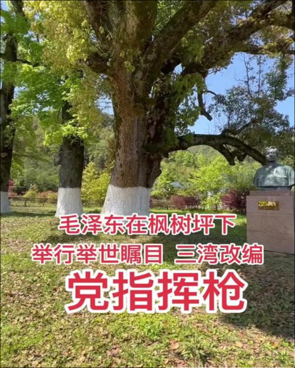 45万字颂长征║第一章•红一方面军-③ 〔红旗漫卷西风•4〕【作者老金//朗诵家军】(2026年第873期/总第5205)