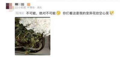 我真是求求某些主编了,别拉踩了,求求某些有能力的大佬了,帮帮孩子们吧,求求某些领导了,别装死了,别透支公信力了,别带坏江西名声了