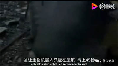 人类迄今为止的历史上,爆发出了两次危害巨大的核事故,一次是前苏联的切尔诺贝利核电站,而另一次就是日本的福岛核电站,事故的爆发可能存在偶然因素,但对于事故造成的危害去如何挽救,那就是鉴别人与鬼最好的证明了!