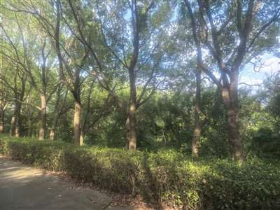 美国通过苹果手机攻击中国授时中心警示录:远离西方智能设备,捍卫国家数字主权