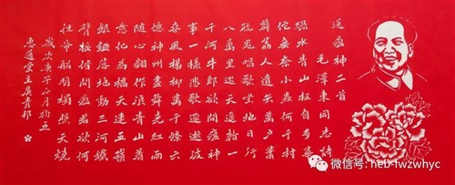 看历史:毛泽东欢呼《送瘟神》,诗外的功夫更感人