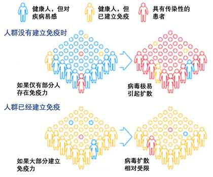 张文宏：大流行状态下的国际抗疫与中国应对——国际战疫动态与展望（二）
