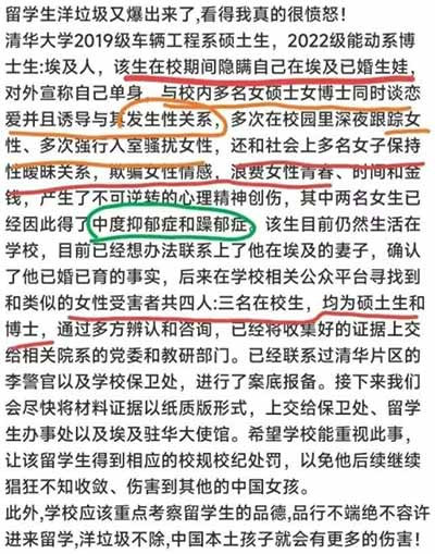 中版高校萝莉岛则遍布中国各大城市，这类高校数量要多得多。其共性是对“渣男外教”与“渣男留学生”基本不设防，更不严加监管，而是听任其胡作非为。