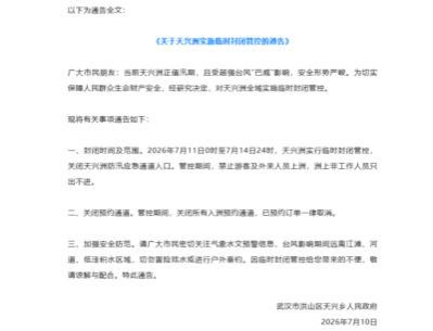 人,鸟,瓜:武汉洪水20年之后