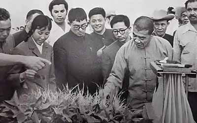 接待方惊呆了:陈永贵副总理出访竟挽起裤腿下田“干活”