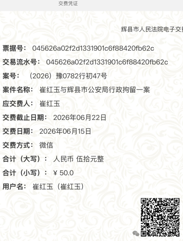 民女崔甜甜代父行政诉讼 辉县崔红玉案衍生案中案