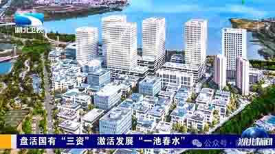 赵燕菁：中国经济转型，需要建立一个和土地市场相当的权益市场