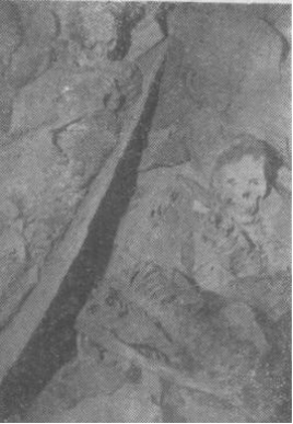 这本1960年中国青年出版社的小册子，分资本家是怎么起家的？资本家怎样剥削工人？资本家怎样压迫工人？资产阶级分子对社会主义的猖狂进攻，兴无灭资革命到底等几部分揭露了资本主义的罪恶，对于提高无产阶级认识觉悟很有助益。本站连载刊出，此章分上下两载，此为五（上）。