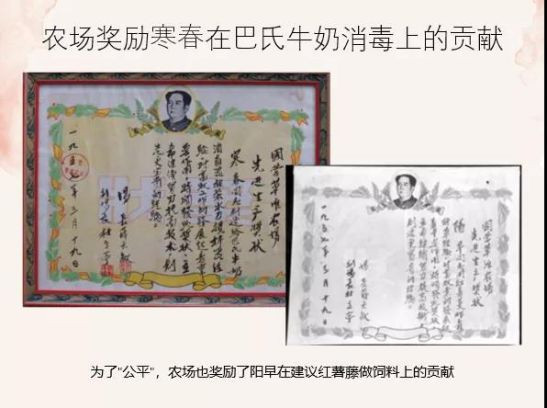 阳和平：寒春眼中的中国革命之魅力——纪念寒春诞辰百年
