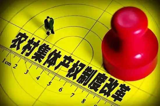 放眼全世界的农民合作组织，不能“种”厂子、房子、市场，不能搞合作金融、合作保险，只有我国的农民及集体经济组织才有这么多限制。