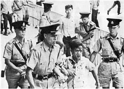 请回答1997:英国人在香港埋了多少雷?