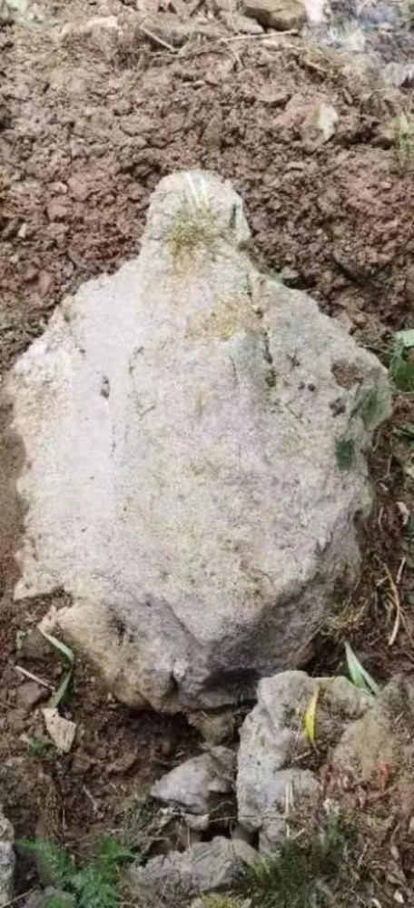 前锋:红色乌蒙山,神奇杉木沟