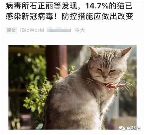石正丽吓猫一大跳，病毒ADE效应这件事更值得关注