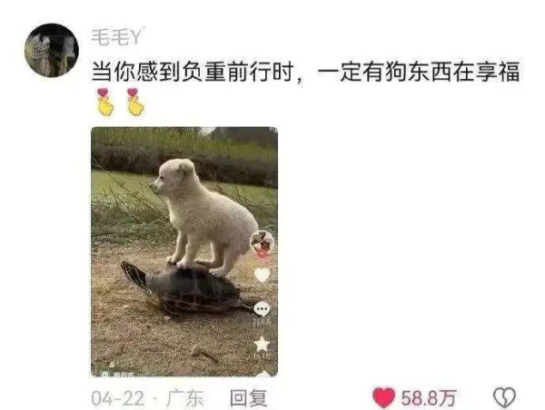 基本养老金将在2035年耗尽?往一个漏桶里倒水,倒得越多漏得越快