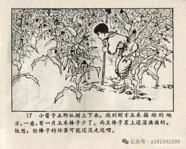 红小兵连环画《活捉米老鼠》赏