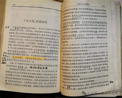列宁对伯恩斯坦的“民主社会主义”的警觉是准确的。事实表明,由列宁、斯大林创立的苏联社会主义制度在七十多年后并不是被公开反对马克思列宁主义的“新自由主义”打垮的,而是被列宁与其作不懈斗争的起源于伯恩斯坦的粉红色的“民主社会主义”打垮的。