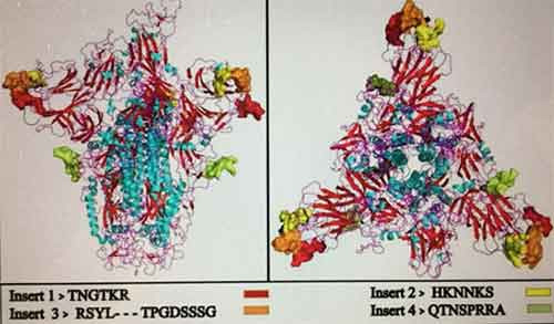 “基因治疗之父”披露新冠病毒源头之系统研究